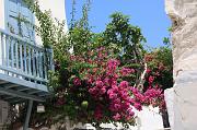 35-Myconos,10 luglio 2010